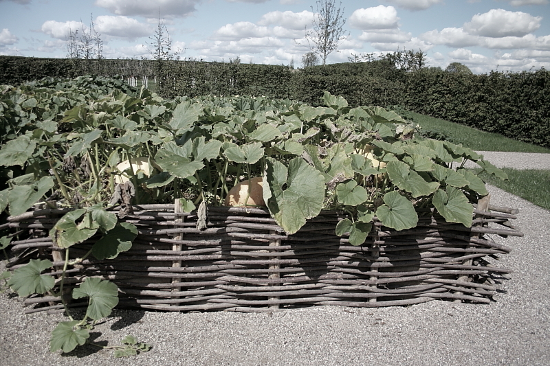 Killikus&reg; Fotographie